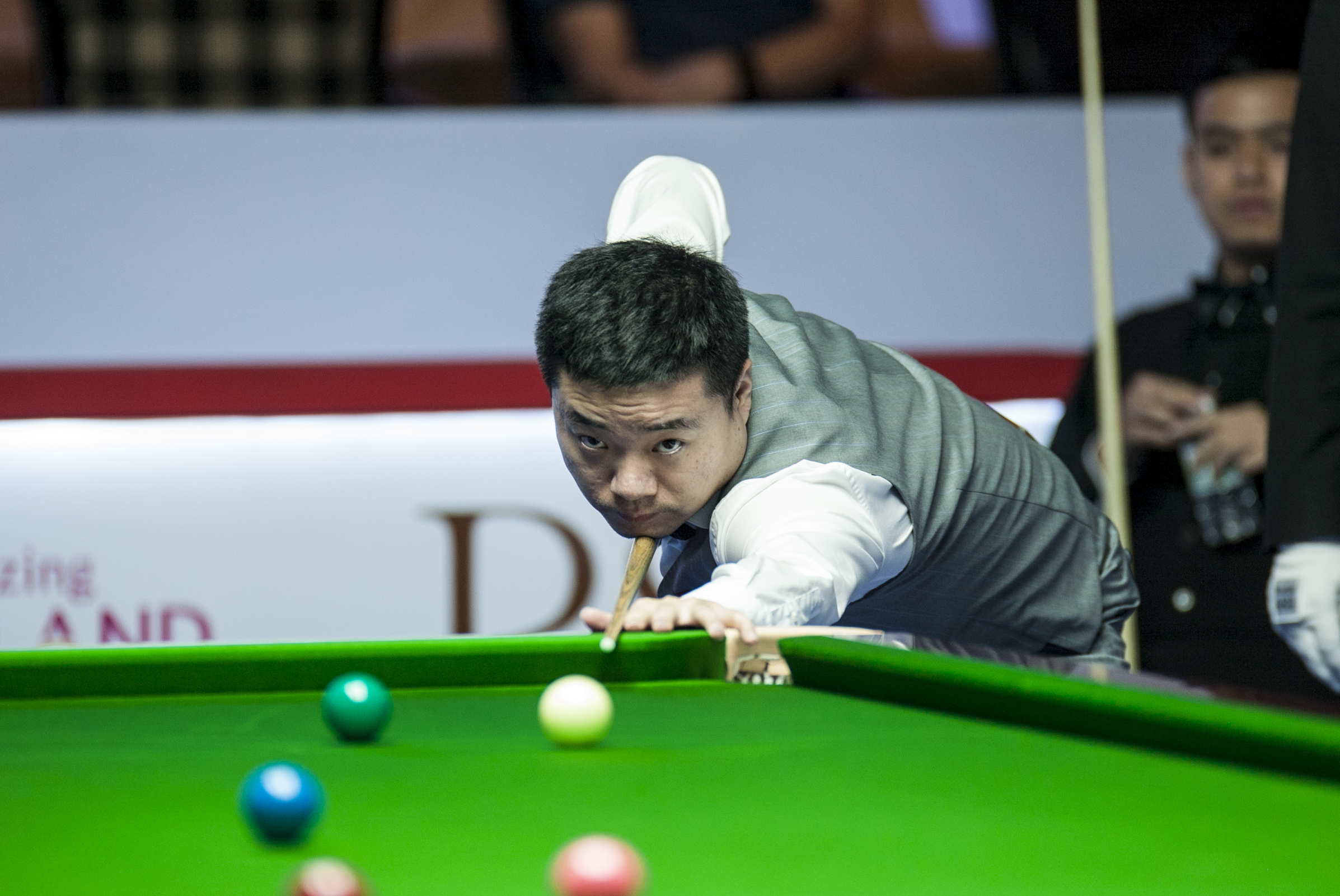 彩的用户来 彩的用户来