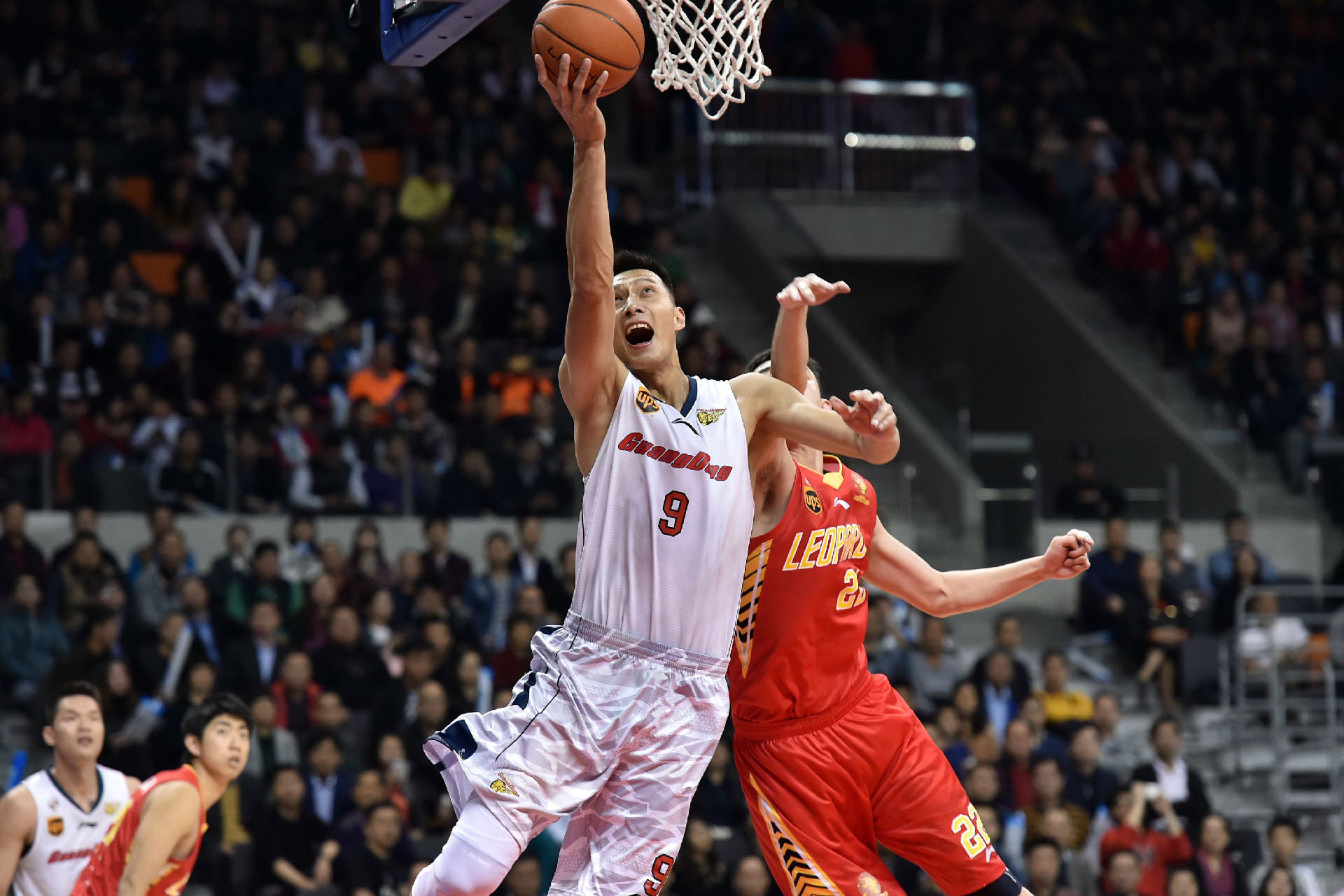 是并存的 是并存的