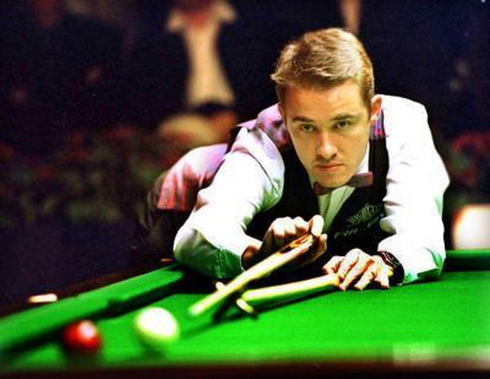 迷的关注 迷的关注