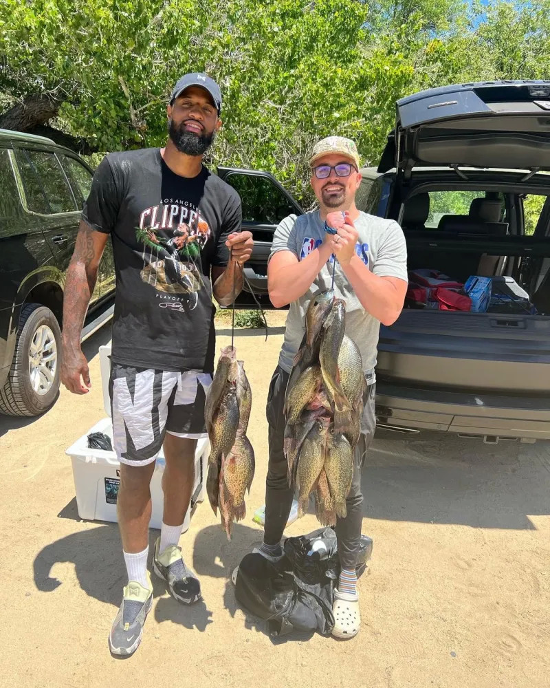 而是体系与 而是体系与